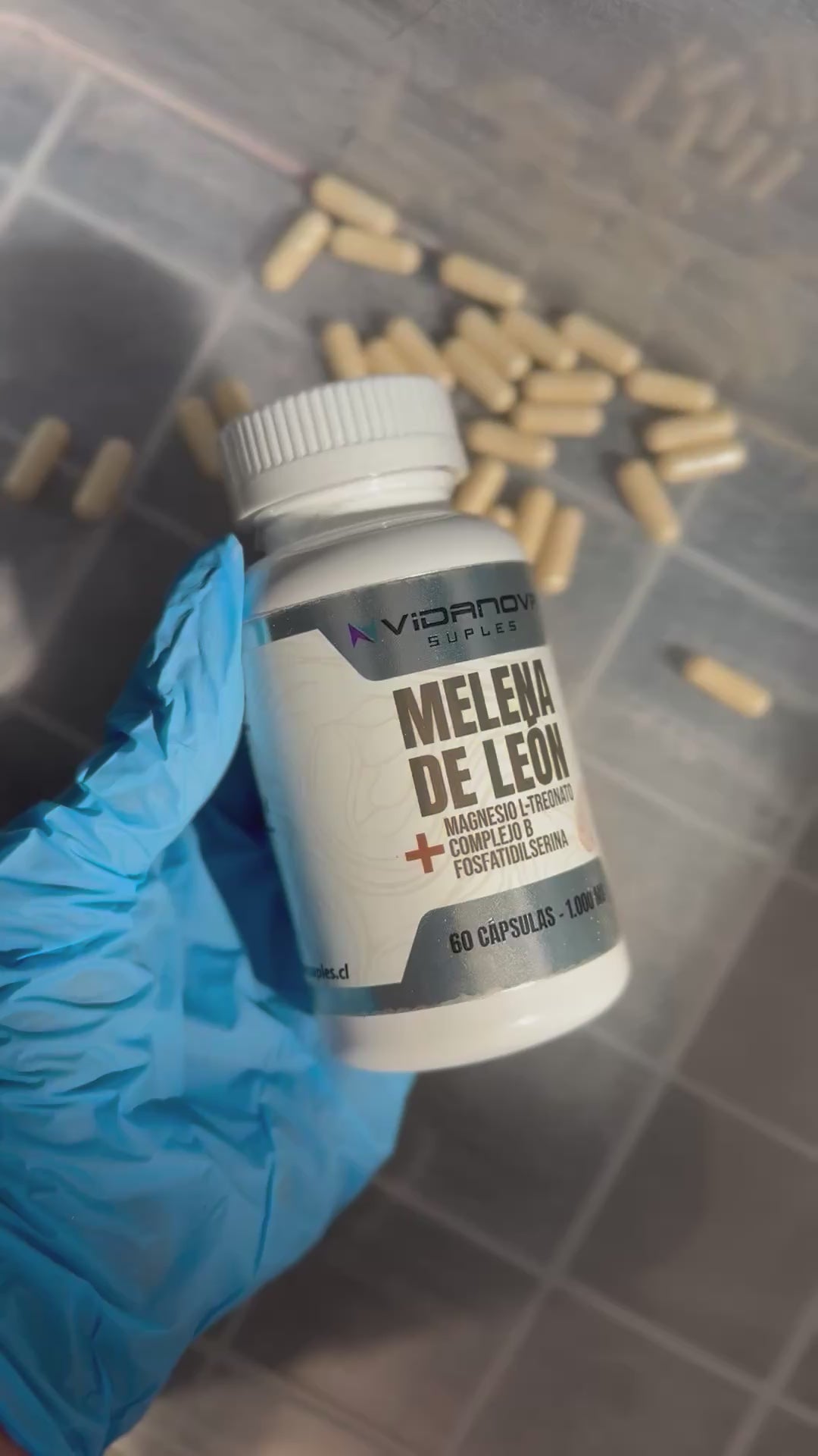 MELENA DE LEON FORTIFICADA - ¡35% OFF!